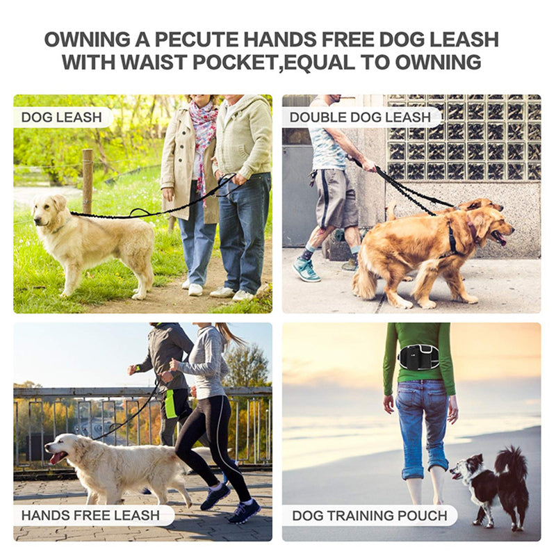 Training supplies for dogs and cats