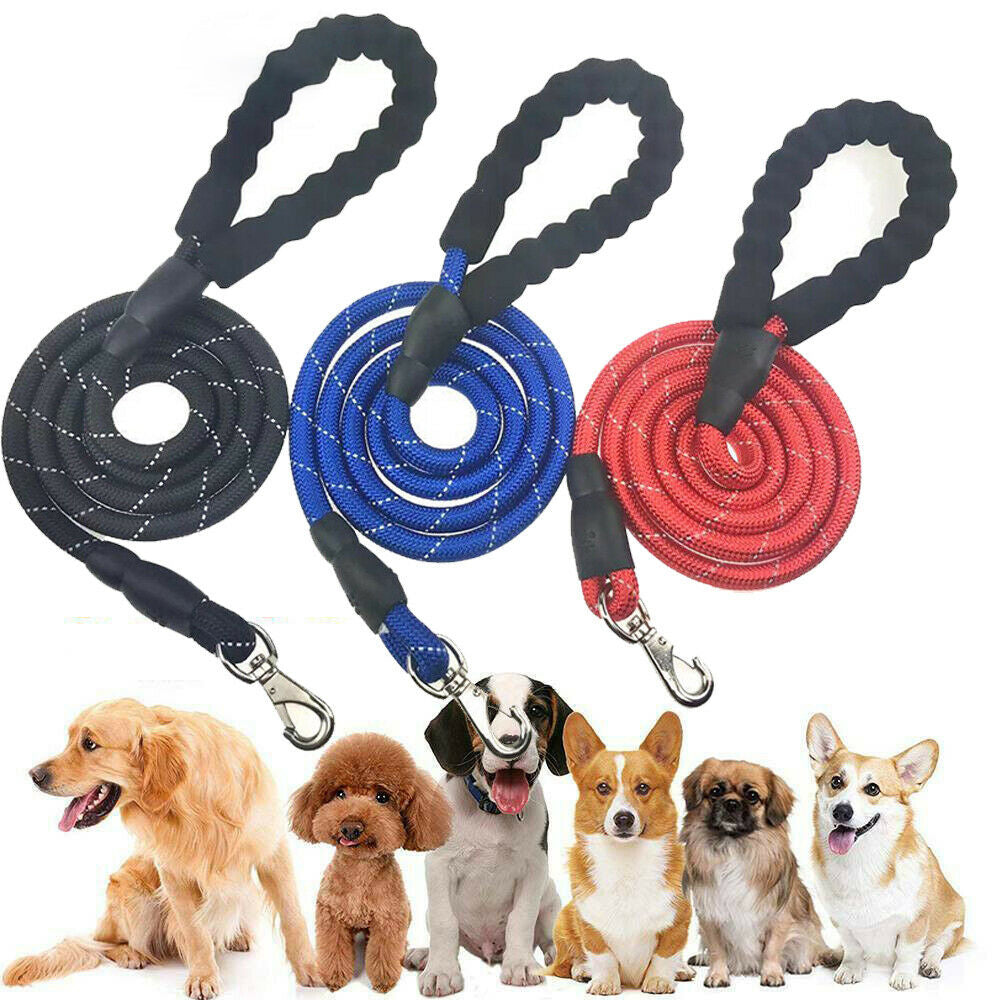 Pet Accessories