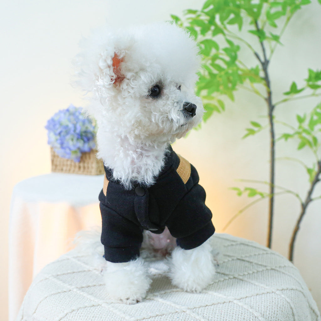 Small And Medium-sized Dogs With Traction Rope Buckle Four-leg Punk Suspender Pants