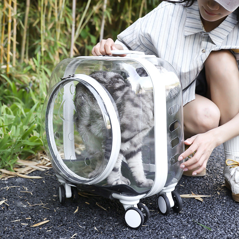 Transparent Portable Outdoor Mute Dogs And Cats Trolley Case Space Capsule