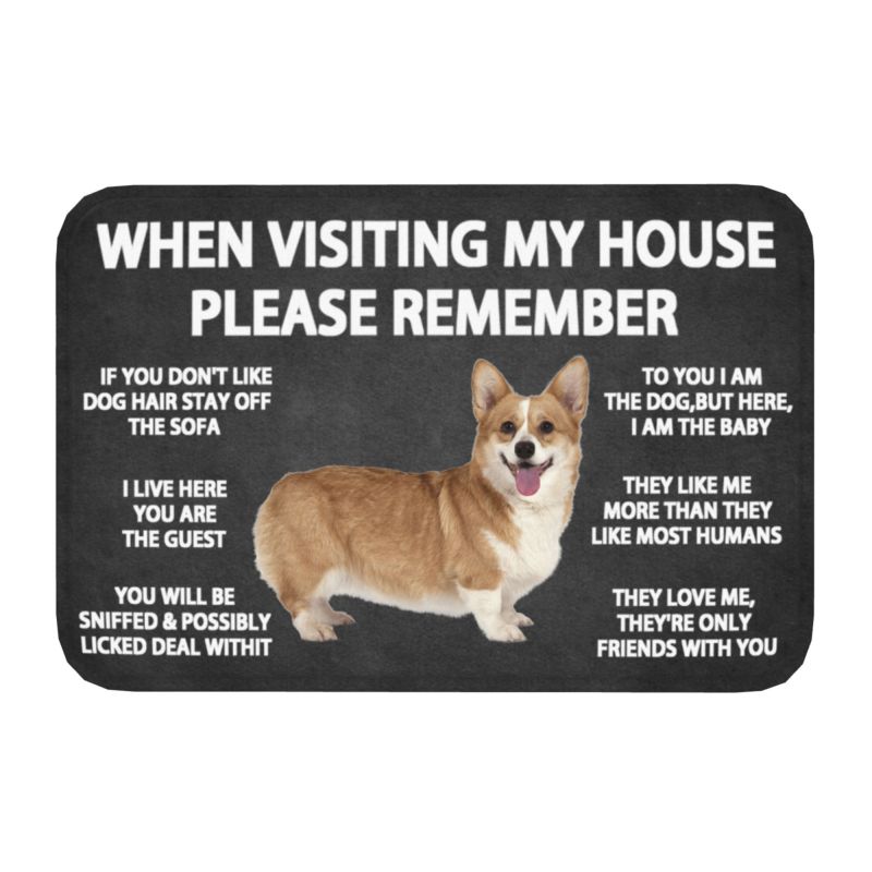 Please Remember Shih Tzu Dogs House Rules Doormat Mat Anti-S
