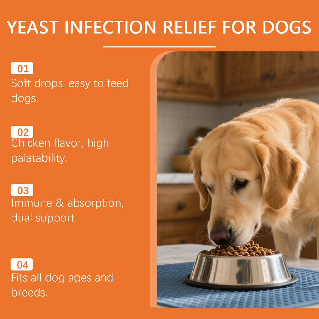 Immune Herbal Drops For Dogs