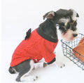 Small and Medium-Sized Dogs In Bow Knitted Sweater