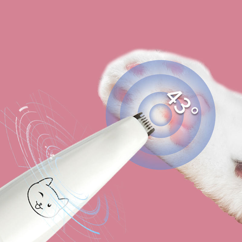 Dogs Trimming The Soles Of Their Feet And Shaving Hair Clippers