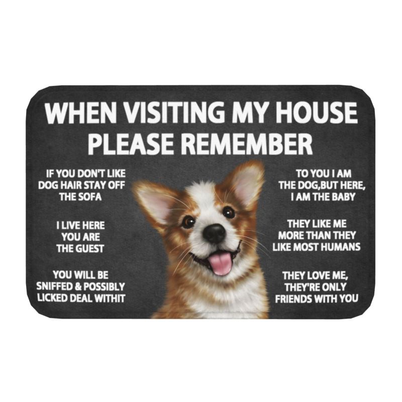 Please Remember Shih Tzu Dogs House Rules Doormat Mat Anti-S
