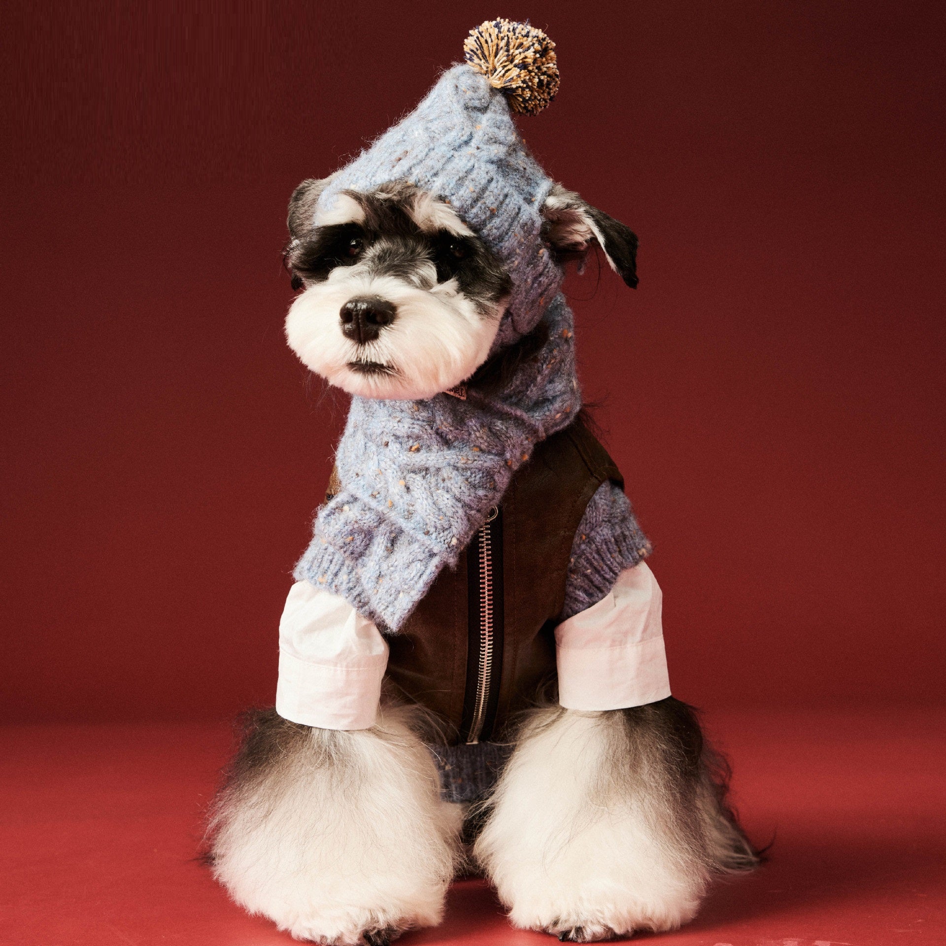 Pet Dog Supplies Accessories Wool Hat Scarf