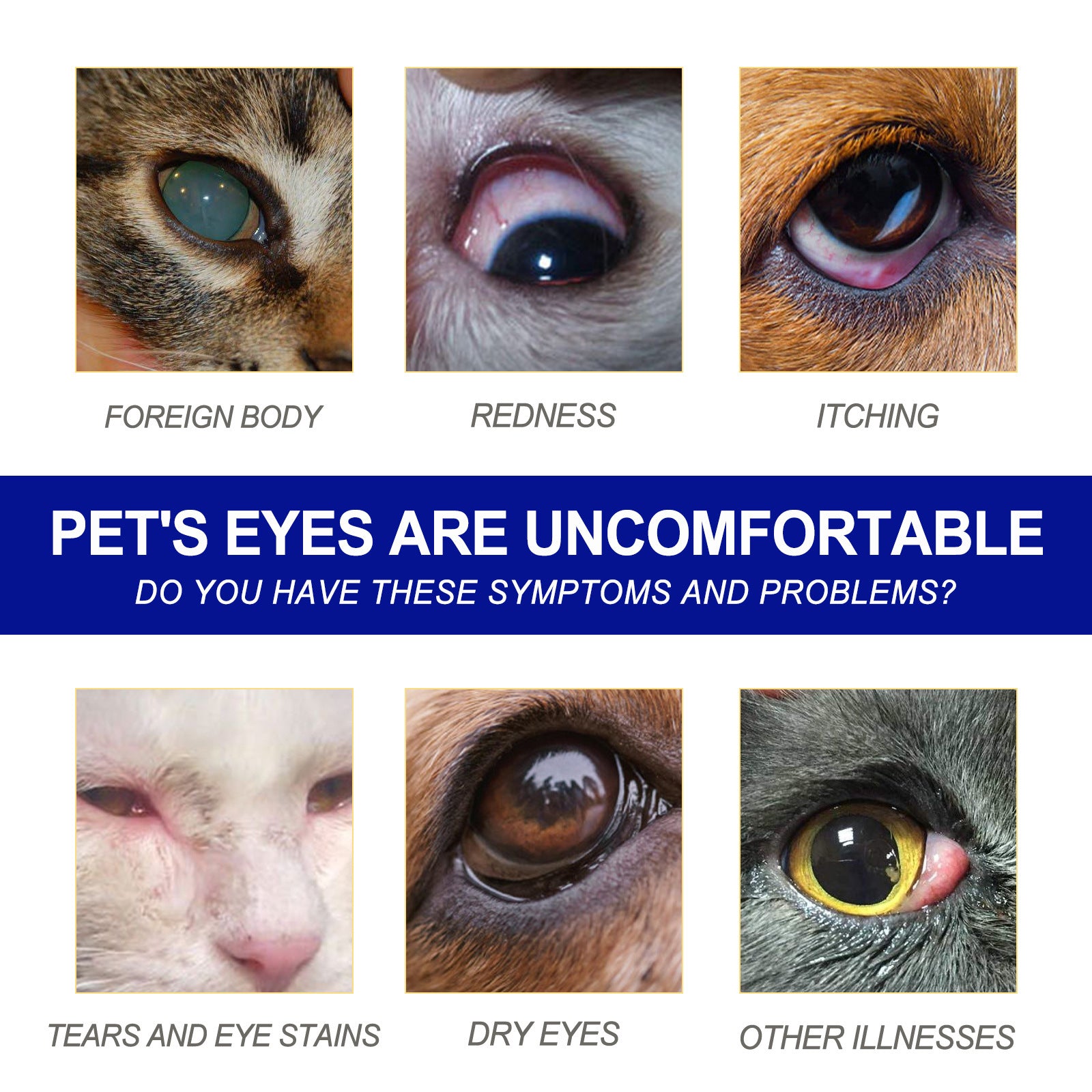 Pet Eye Drops Dogs And Cats Eye Care Remove Dry Red Eye Mite Odor