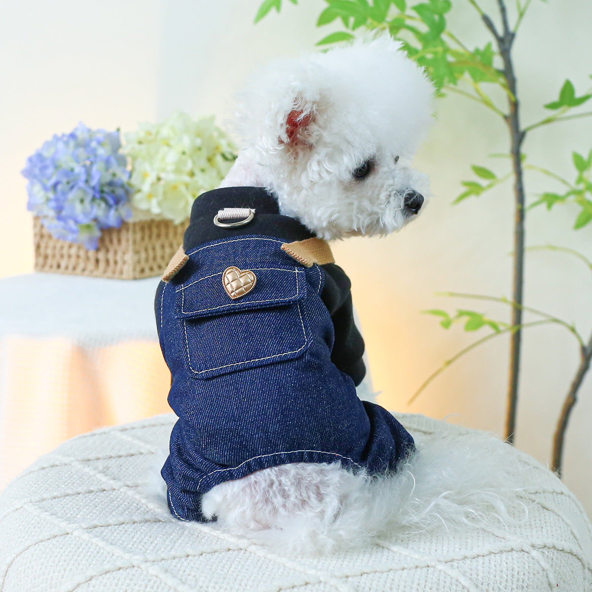 Small And Medium-sized Dogs With Traction Rope Buckle Four-leg Punk Suspender Pants