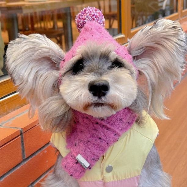 Pet Dog Supplies Accessories Wool Hat Scarf