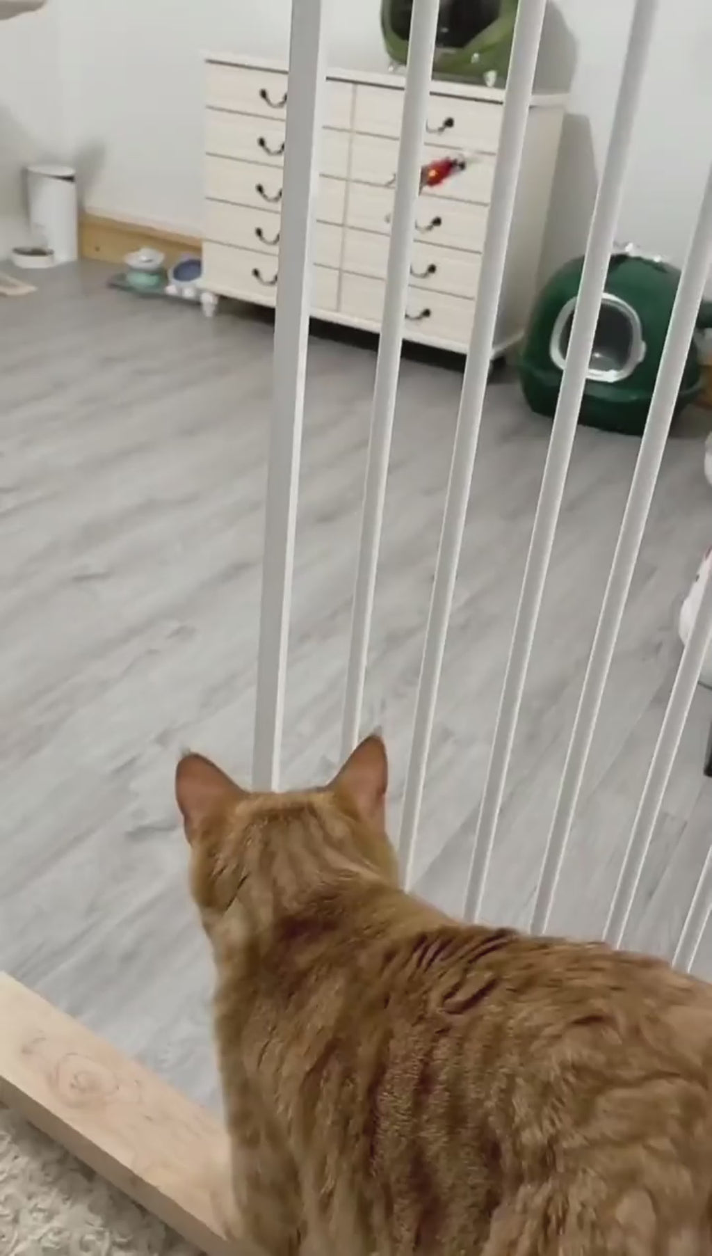 Simulation Bird Cat Interactive Pet Toys